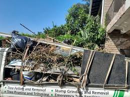 Best Basement Cleanout  in Horizon West, FL
